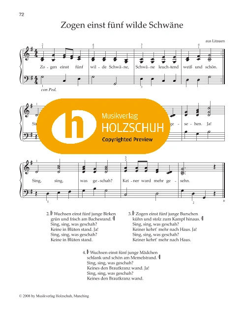 Zogen einst fünf wilde Schwäne